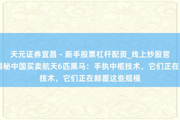 天元证券宜昌 - 新手股票杠杆配资_线上炒股官方配资杠杆 揭秘中国买卖航天6匹黑马：手执中枢技术，它们正在颠覆这些规模