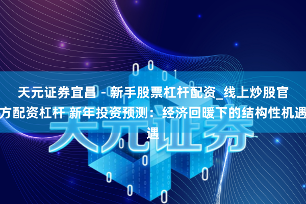天元证券宜昌 - 新手股票杠杆配资_线上炒股官方配资杠杆 新年投资预测：经济回暖下的结构性机遇